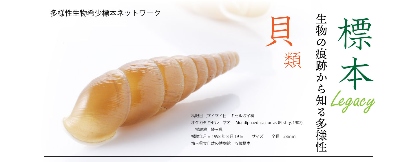 レガシーバナー 5