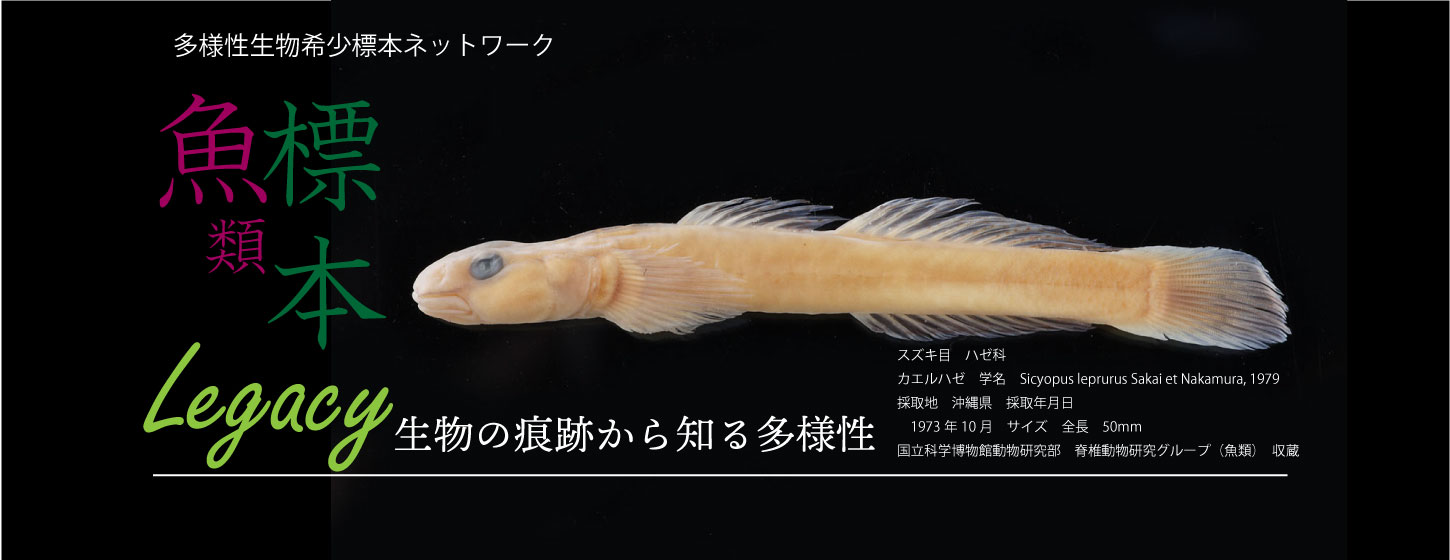 レガシーバナー 5
