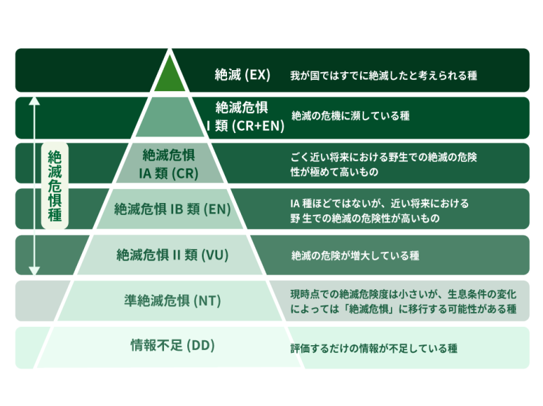 絶滅・絶滅危惧 維管束植物 | 【標本ナビ】多様性生物希少標本ネッ …