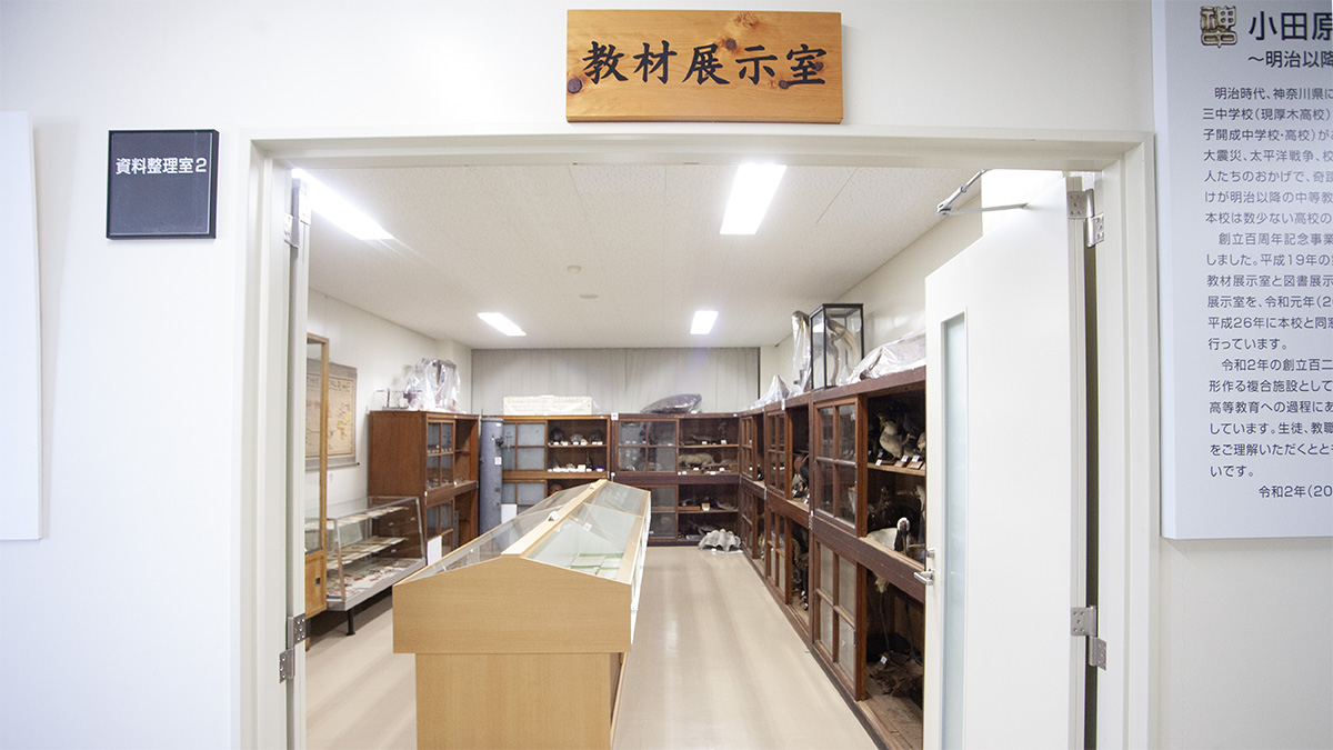 odawara11 odawara11