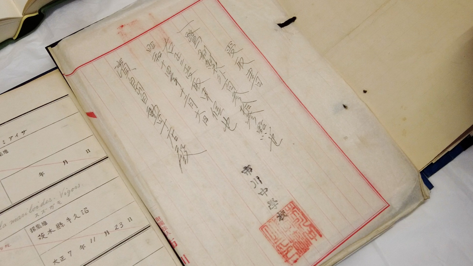 寄贈当時の目録