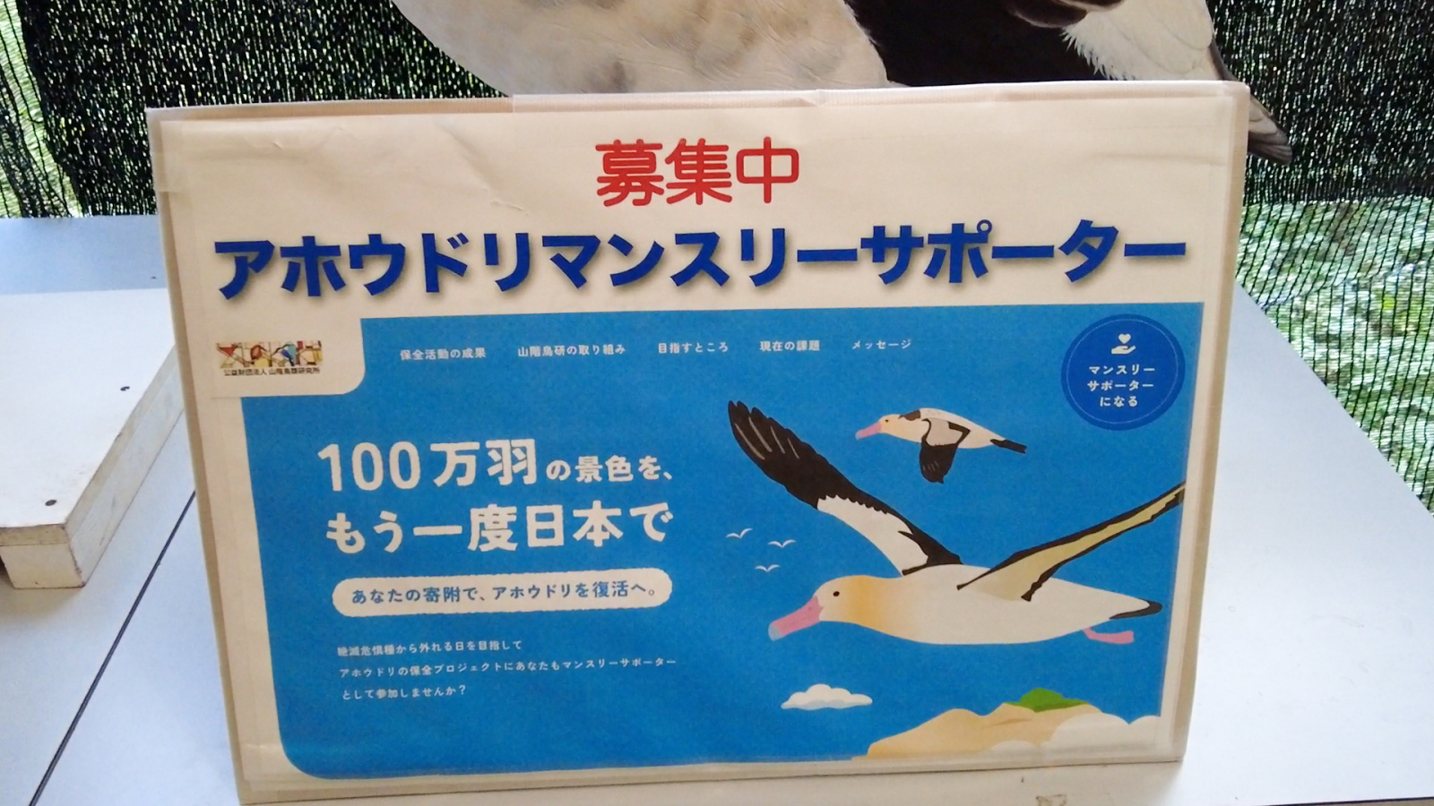 アホウドリマンスリーサポーターへはwebから可能です