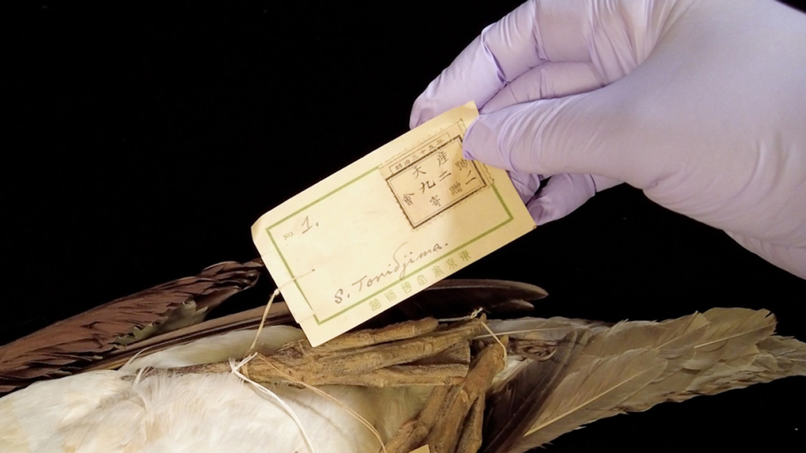 南鳥島、明治三十五年と記載されているラベル